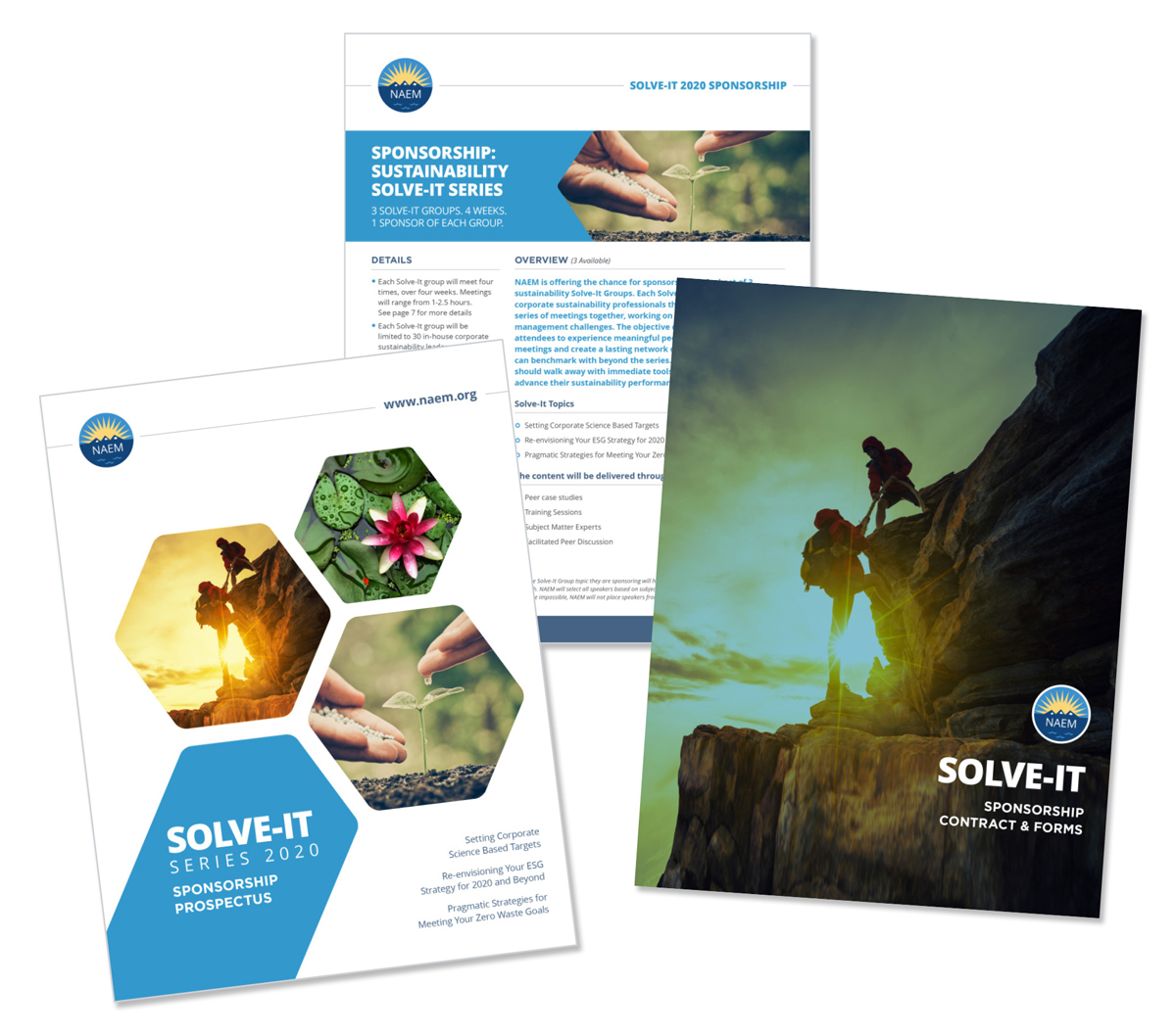solve-it series print collateral